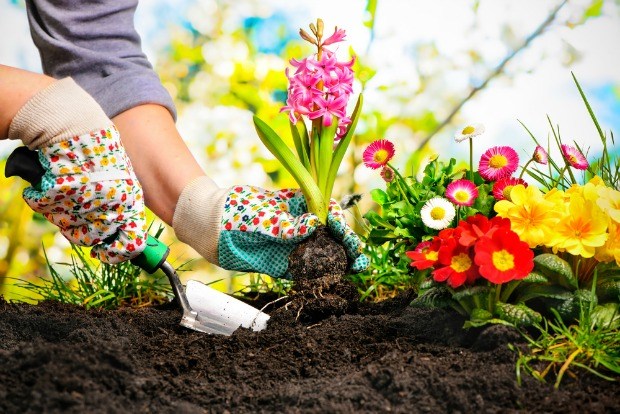 Benefits of Gardening